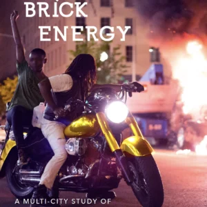 Big Brick Energy
